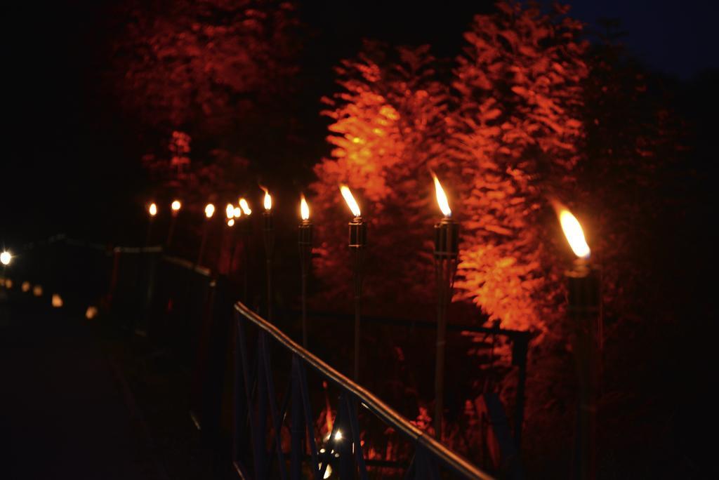 Gasthof Alter Felsenkeller ナウムブルク エクステリア 写真